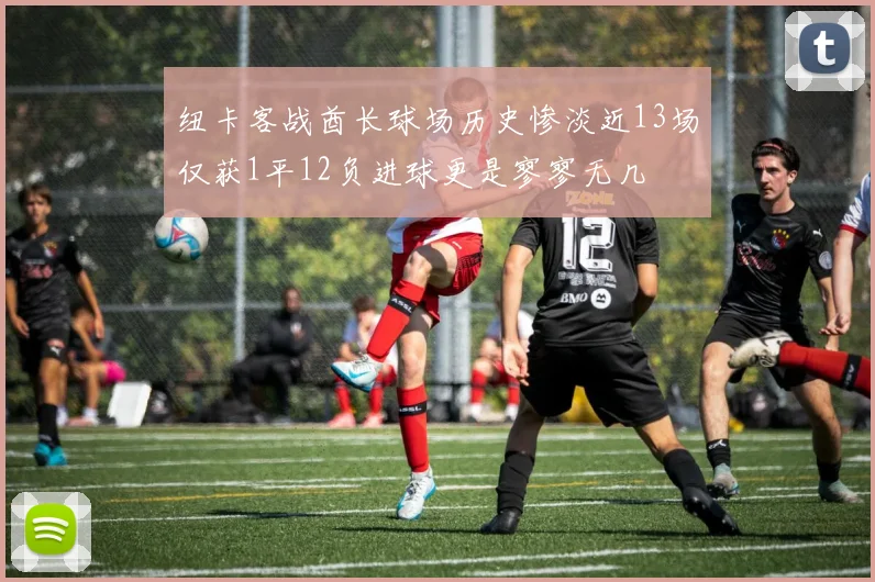 纽卡客战酋长球场历史惨淡近13场仅获1平12负进球更是寥寥无几